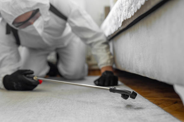 Professional Bed Bug Control technician working in Ballenger Creek, MD