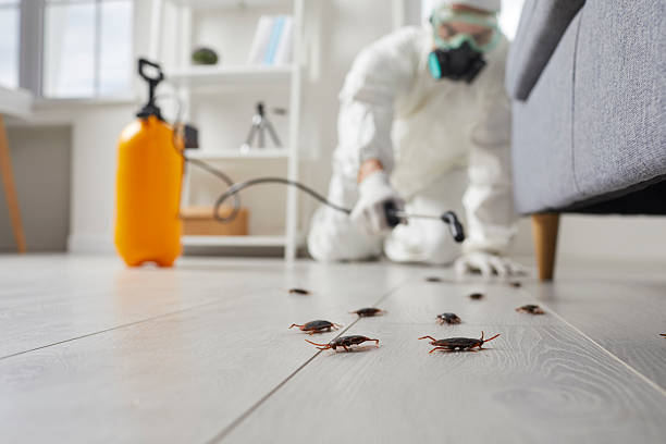 Trusted Termite Control service in Ballenger Creek, MD - Nex Pest Control
